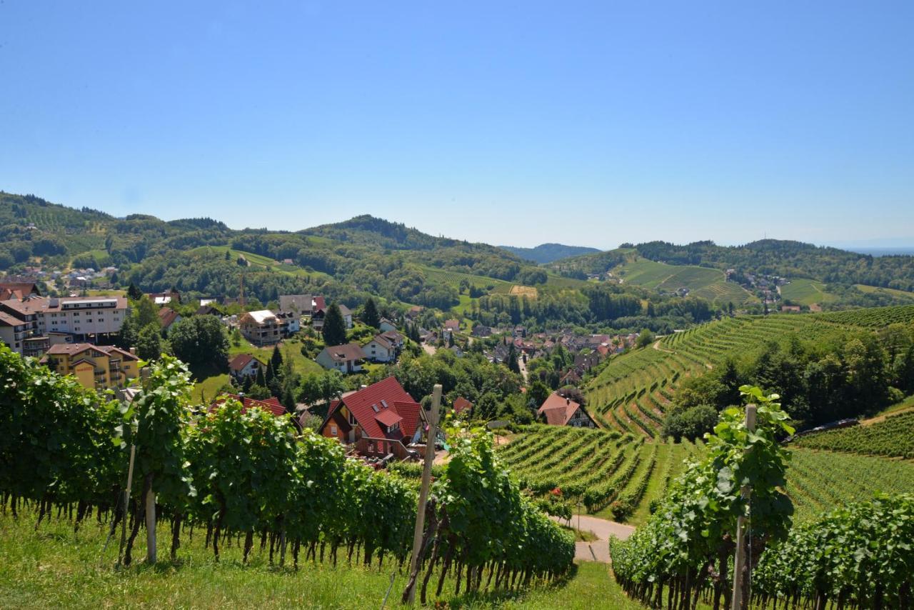 Residence Am Weinberg / Travellers Hotelbetriebs Gmbh Sasbachwalden Luaran gambar