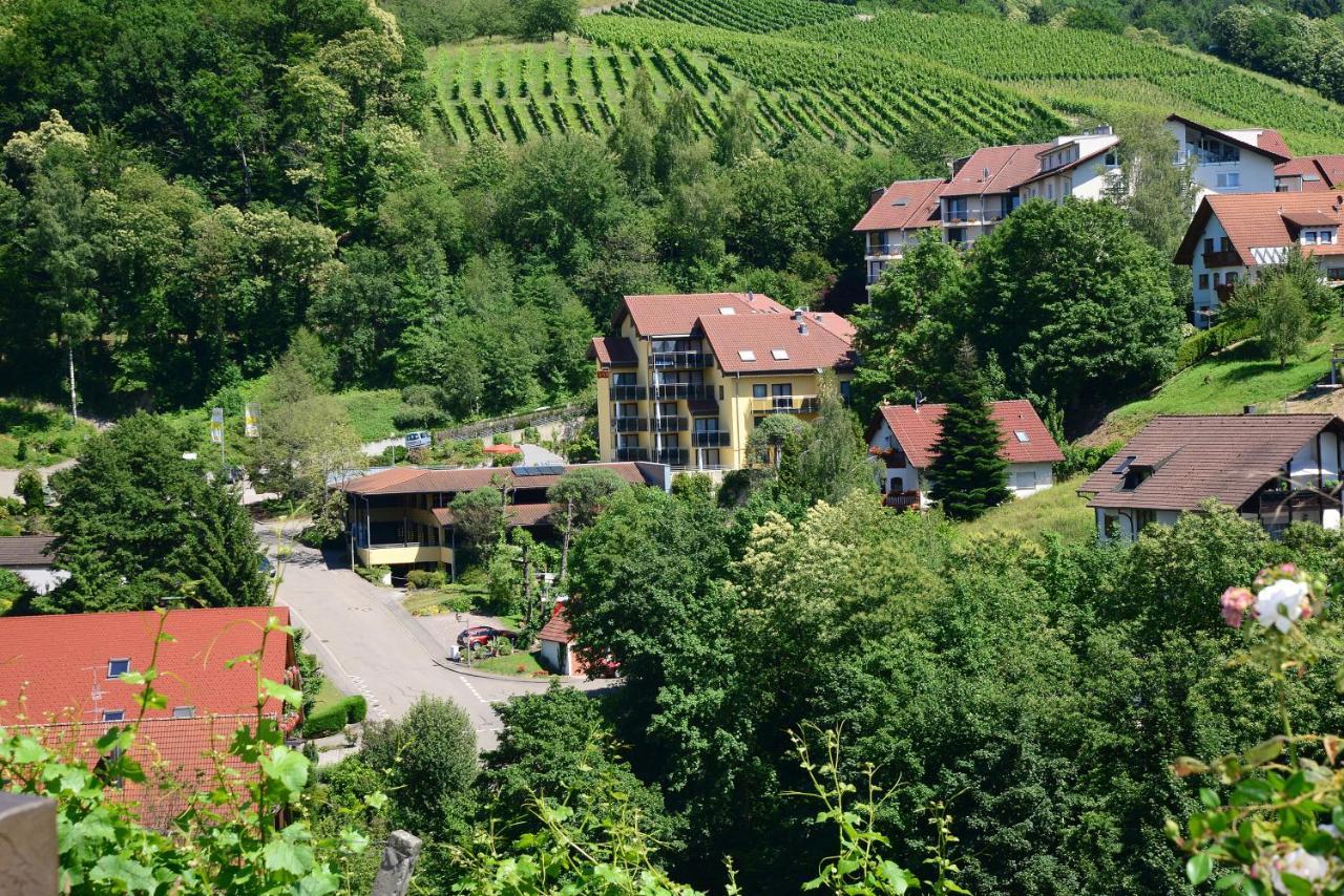 Residence Am Weinberg / Travellers Hotelbetriebs Gmbh Sasbachwalden Luaran gambar