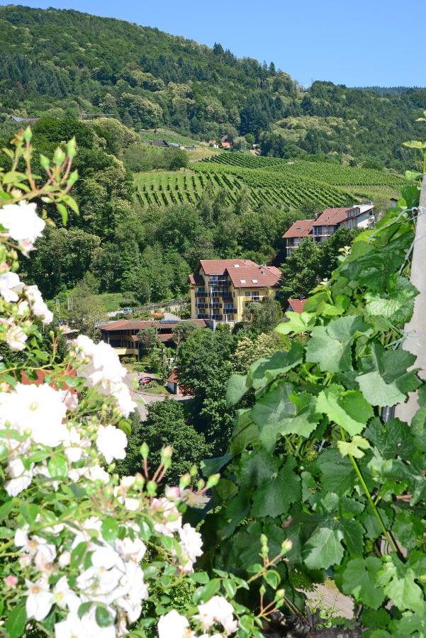 Residence Am Weinberg / Travellers Hotelbetriebs Gmbh Sasbachwalden Luaran gambar